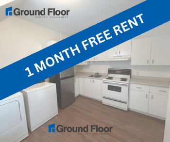 $1,300/mo.
								
								
									
										
											
											Beds: 2
											
										
										
											Full Bath: 1
											
											
										
									
								
								
									179 Archibald Street, Moncton,  E1C 5J8
								
								
									Multiplex
								
								
									Available: Immediately — rental in Moncton, NB